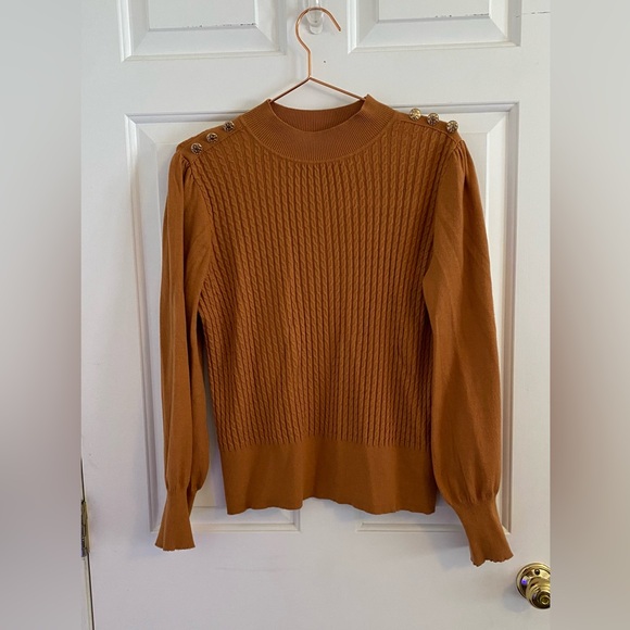 Adrianna Papell Sweaters - Adrianna Papell Rust Knit Sweater